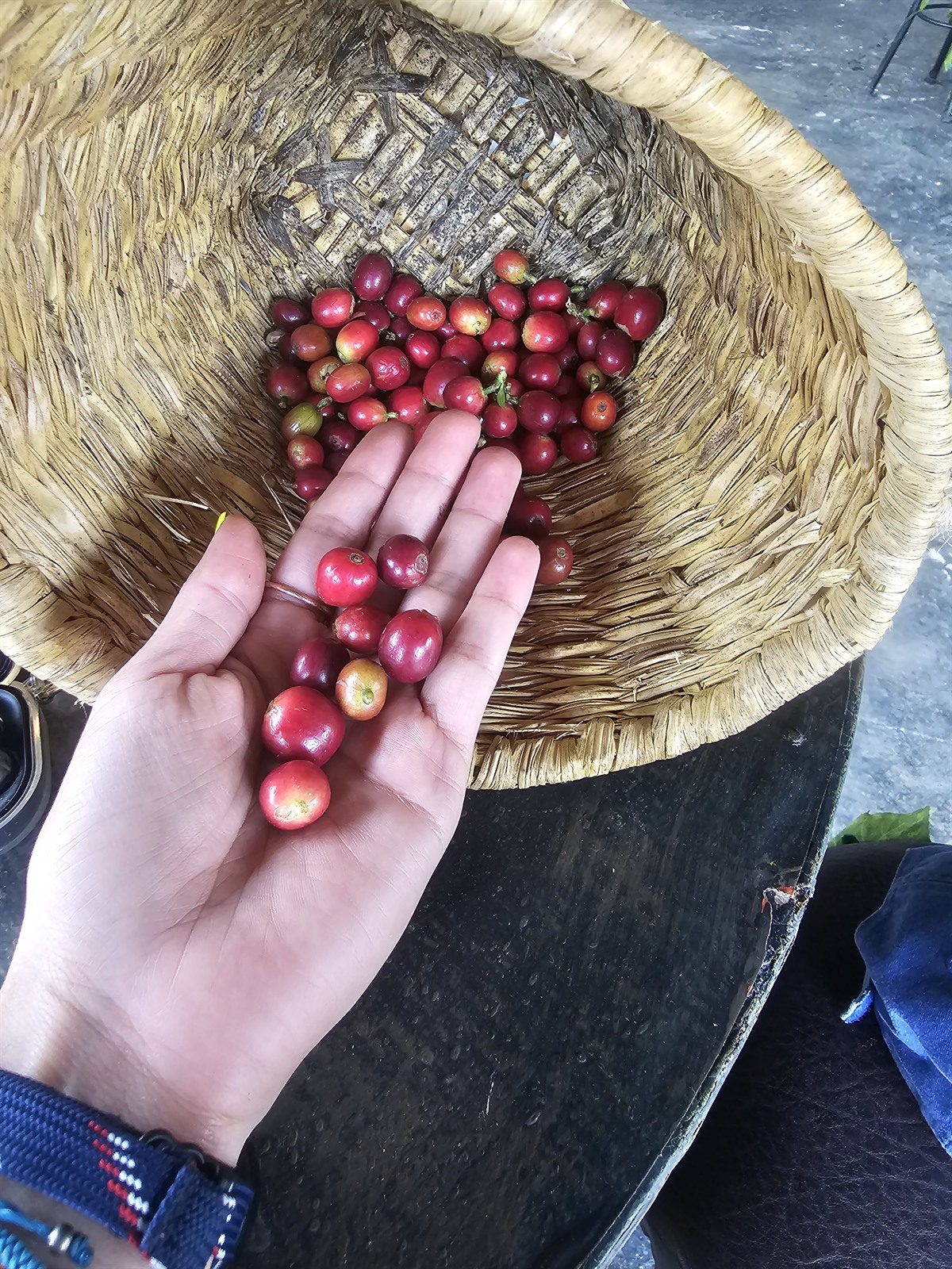 Momentos de viaje en Colombia